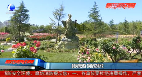 靜觀月季花神像 探尋月季古老歷史