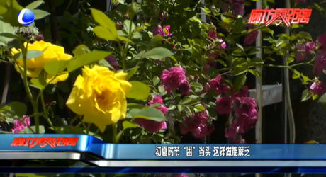 初夏時節(jié)“困”當(dāng)頭 這樣做能解乏