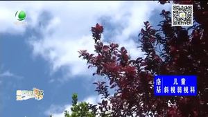 本周氣溫波動(dòng)大 晝夜溫差明顯