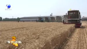 永清縣6.8萬畝小麥機收工工作全面展開