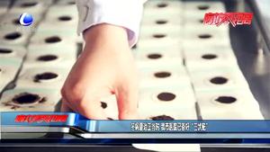 冬病夏治正當時 我市醫(yī)院已備好“三伏貼”