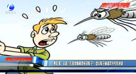 吃甜食喝啤酒易招蚊子？盤點蚊子最喜歡的究竟是誰