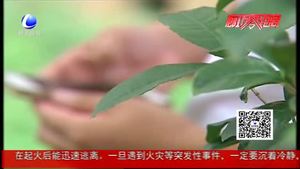 接個(gè)“快遞客服”電話 小伙被騙10萬(wàn)元