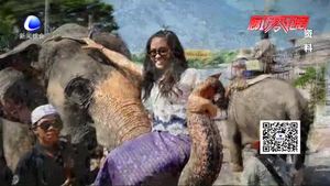 求學(xué)旅游迎來小高峰 家長(zhǎng)應(yīng)理性選擇