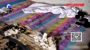 停電后椅子“自燃”差點(diǎn)燒了家？竟是電吹風(fēng)惹的禍