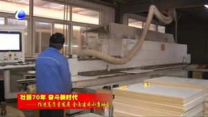 霸州市：以新舊動能轉換促產業(yè)結構優(yōu)化升級 全力推進高質量發(fā)展