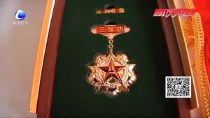 長(zhǎng)大后我就成了你：父與子的軍旅情