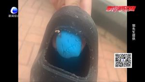 三角錐傷人  商家是故意還是意外？