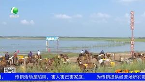 樂(lè)游天下 20190823