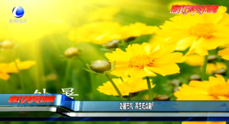 處暑節(jié)氣 養(yǎng)生吃點(diǎn)啥？