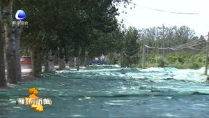 廣陽區(qū)強(qiáng)化服務(wù)助力北京大興國際機(jī)場通航