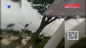 零距離·交通：封閉貨車違法載人 司機(jī)稱沒看行駛證