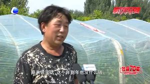 【脫貧攻堅(jiān)·廊坊在行動(dòng)】脫貧攻堅(jiān)步鏗鏘 攜手并進(jìn)邁小康