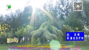 動植物主題綠雕扮靚和平路