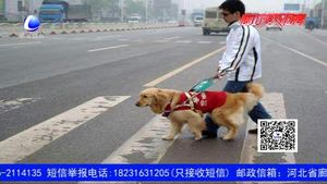 國際盲人節(jié)：盲人的世界不只有黑暗 請用愛為他們守護(hù)“光明”