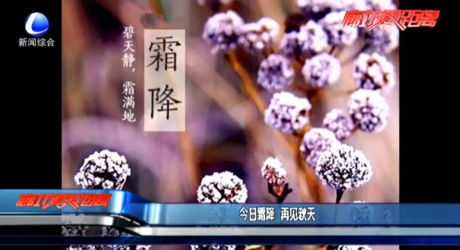 今日霜降 再見(jiàn)秋天