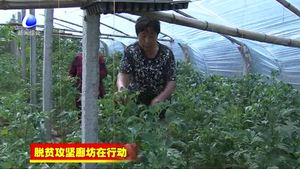 廣陽(yáng)區(qū)：多措并舉 精準(zhǔn)發(fā)力 打贏脫貧攻堅(jiān)戰(zhàn)