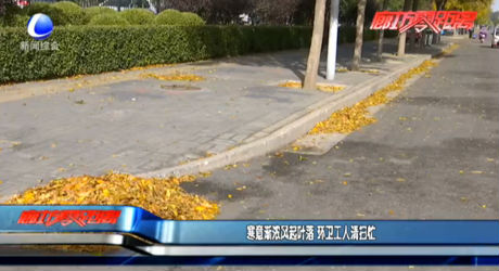 寒意漸濃風(fēng)起葉落 環(huán)衛(wèi)工人清掃忙