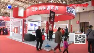 市民文明逛展會 讓文明成為最美風(fēng)景線