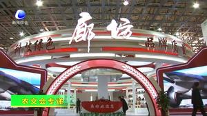 農(nóng)交會精彩紛呈 參展客商紛紛點(diǎn)贊