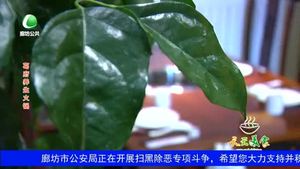 天天美食 20191113