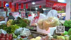 “限塑”實(shí)施11年 綠色生活仍在路上