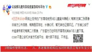 辟謠來了！“梅姨”畫像非公安部官方發(fā)布 不傳謠 不信謠