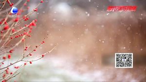 今日“小雪”：花雪隨風(fēng)不厭看 一片飛來(lái)一片寒