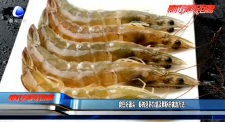 食在好源頭：蝦的營養(yǎng)價值及鮮蝦的挑選方法