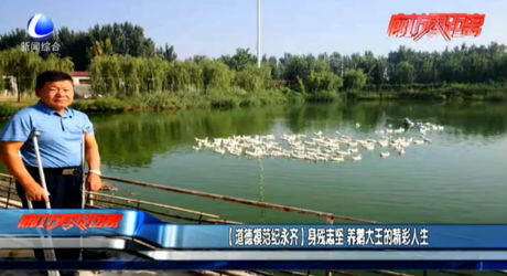 【道德模范紀(jì)永齊】身殘志堅(jiān) 養(yǎng)鵝大王的精彩人生