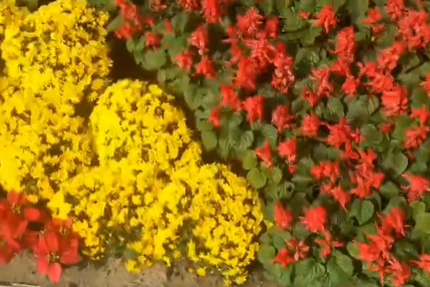 我和我的祖國(guó)