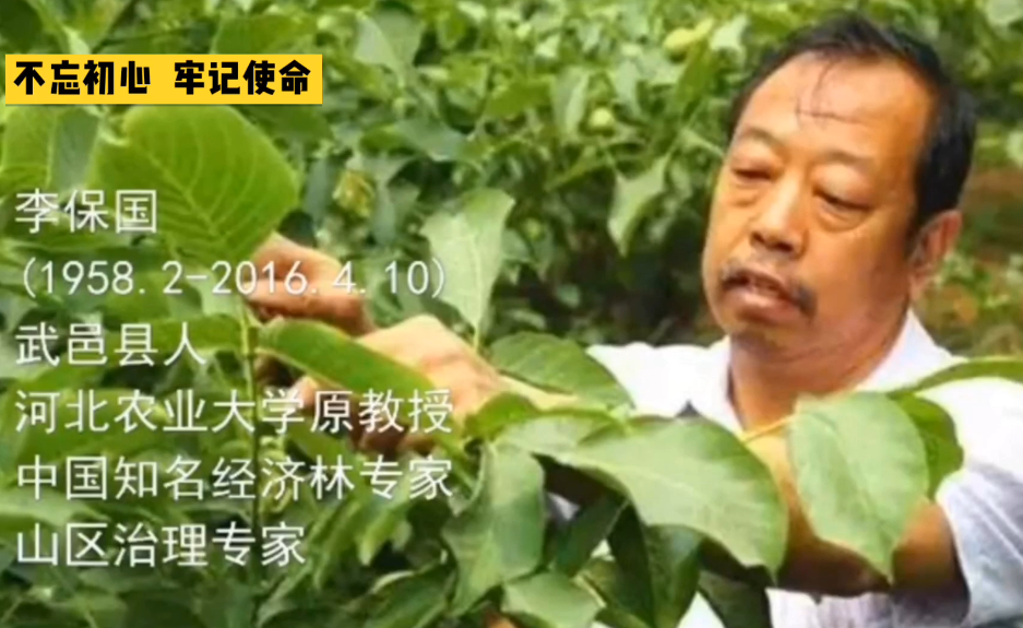 太行山上的新愚公——李保國