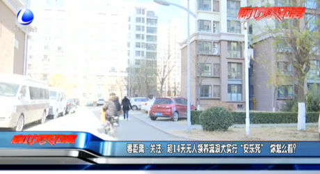 零距離·關(guān)注：超14天無人領(lǐng)養(yǎng)流浪犬實(shí)行“安樂死” 你怎么看？