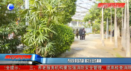 市民樂享室內(nèi)游 廊坊冬日也融融