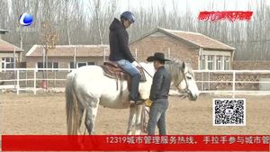 馬術(shù)俱樂部落戶永清韓村 普及國際馬聯(lián)競賽項目——REINING