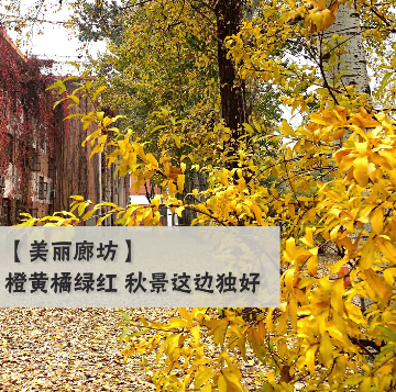 無證酒駕心存僥幸 交警路查嚴(yán)懲不貸