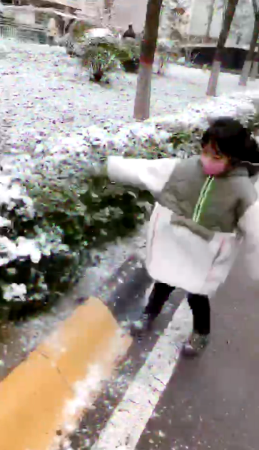 媽媽已經(jīng)三天沒(méi)打我了