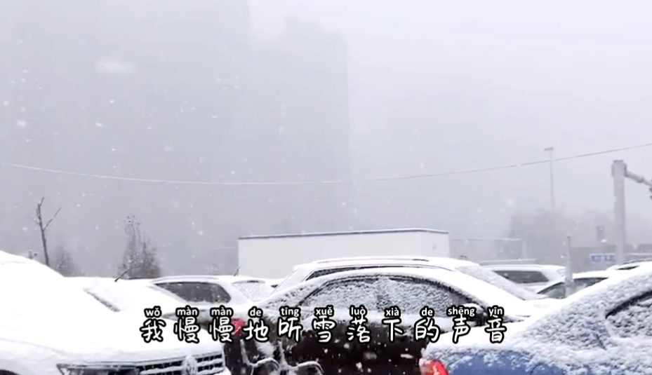 我慢慢聽(tīng)雪落下的聲音