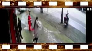 油門當剎車小車撞斷大樹四腳朝天