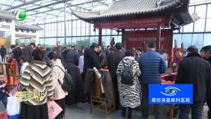 “同心同書 祖國新春好”書法送?；顒釉诰盘煨蓍e谷舉行