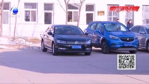 春節(jié)租車熱 商務車成“新寵”