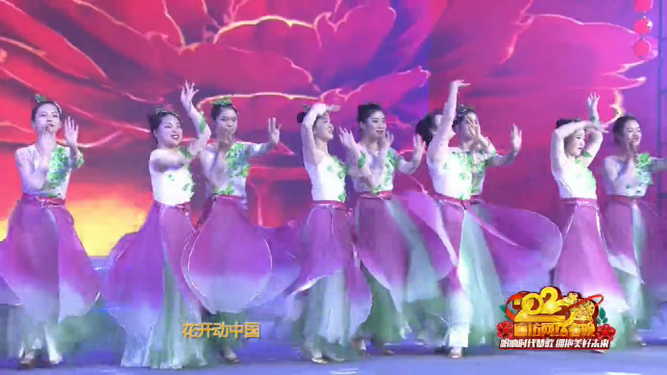 2020廊坊網(wǎng)絡(luò)春晚——《花開中國(guó)》