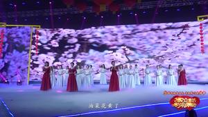 2020年廊坊市春節(jié)聯(lián)歡晚會(huì)——《詩(shī)意中國(guó)》