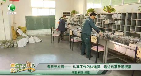 春節(jié)我在崗——認真工作的快遞員 遞送包裹傳遞祝福