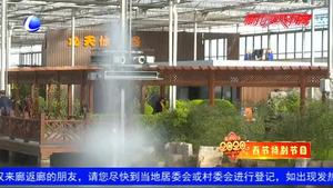 奮進(jìn)新時代·新年心語話新愿