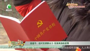 楊春平：戰(zhàn)時黨課聚合力 黨旗高揚戰(zhàn)疫情