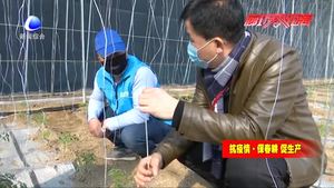 疫情防控不誤春耕 技術員進村下鄉(xiāng)解難題