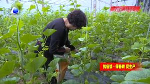 田間地頭忙春耕 不負春光搶農(nóng)時