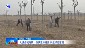 大廠縣邵府鎮(zhèn)：種下經(jīng)濟林 栽上搖錢樹