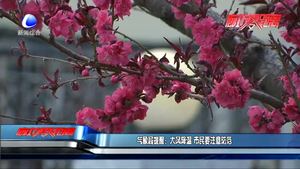 新一輪冷空氣來襲 本周將有大風降溫